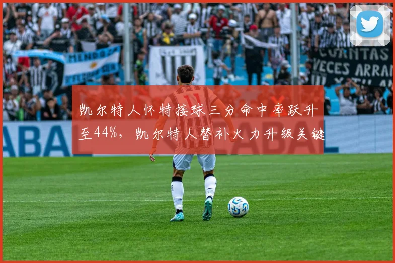 凯尔特人怀特接球三分命中率跃升至44%，凯尔特人替补火力升级关键